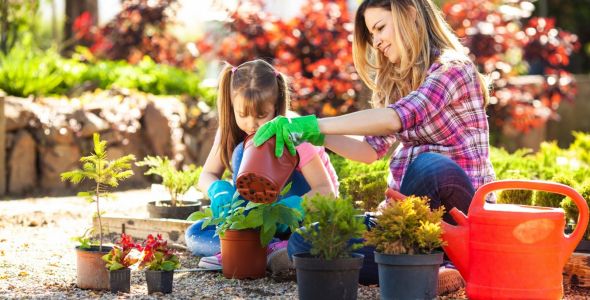 Perennial Gardening in your New Home