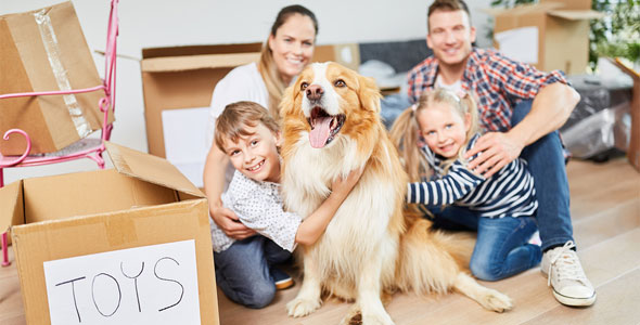 Making Your Long-Distance Move With Pets or Children More Efficient